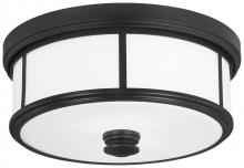 Minka-Lavery 4365-66A - Harbour Point - 2 Light Flush Mount