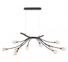 Lib & Co. US 12234-043 - Modena, 10 Light Oval LED Chandelier, Â Black with Gold Accent