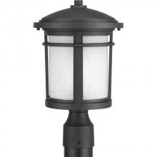 Progress P6424-31 - P6424-31 1-100W MED POST LANTERN