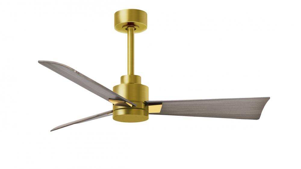 Alessandra - 42" Three Blade Transitional Ceiling Fan - Brushed Brass Finish