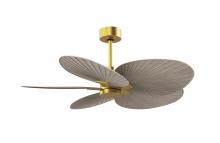 Matthews Fan Company AKTP-BRBR-GA - Alessandra Tropical - Five Blade Ceiling Fan - Brushed Brass Finish - Gray Ash Tone Blades