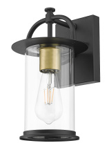 Acclaim Lighting 1023BK - 16.5 in. 1-Light Matte Brass And Black Outdoor Wall Lantern With Clear Cylinder Glass