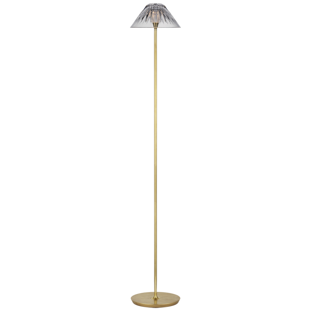 Blaze 55" Floor Lamp