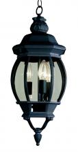 Trans Globe 4066 BK - Parsons 3-Light Traditional French-inspired Outdoor Hanging Lantern Pendant with Chain
