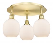 Innovations Lighting 516-3C-SG-G101 - Belfast - 3 Light - 18 inch - Satin Gold - Semi-Flush Mount