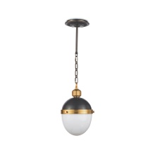 Regina Andrew 16-1117BBNB - Regina Andrew Otis Pendant Small (Blackened Brass and Natural Brass)