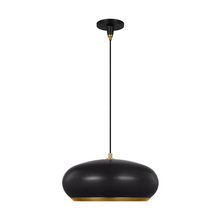 Visual Comfort & Co. Studio Collection TP1131AIBBS - Clasica casual 1-light indoor dimmable large ceiling hanging pendant in aged iron grey finish with m