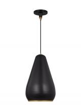 Visual Comfort & Co. Studio Collection TP1141AIBBS - Clasica casual 1-light indoor dimmable small ceiling hanging pendant in aged iron grey finish with m