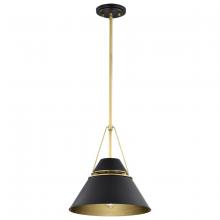 Nuvo 60/7766 - Adina 1 Light Medium Pendant; Matte Black and Natural Brass Finish